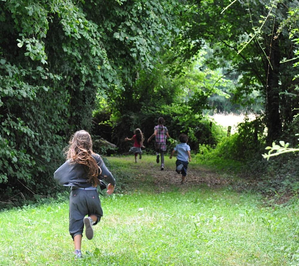Enfatns courant dans la foret