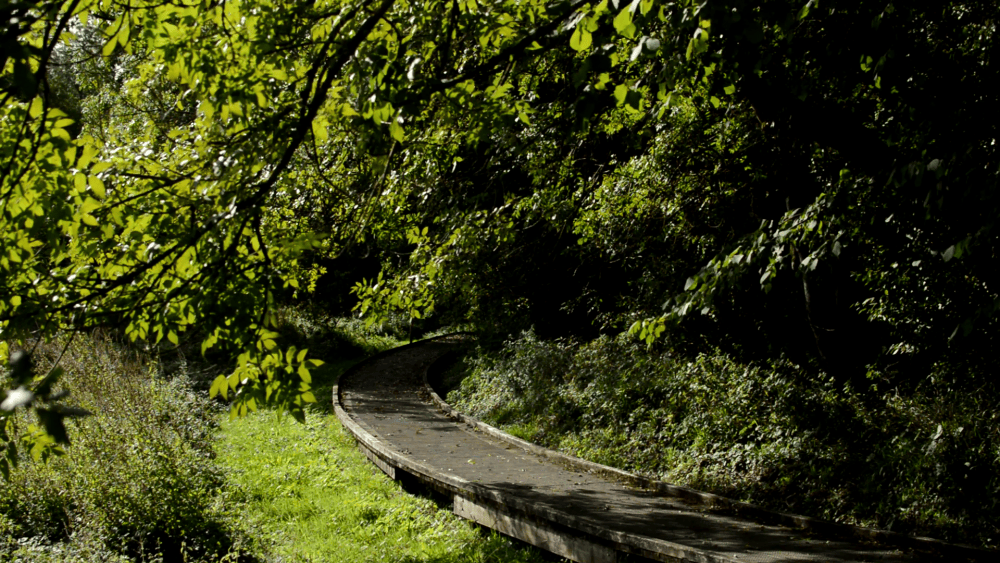 Sentier huguenot