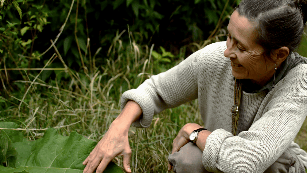 Plantes dans tous les sens
