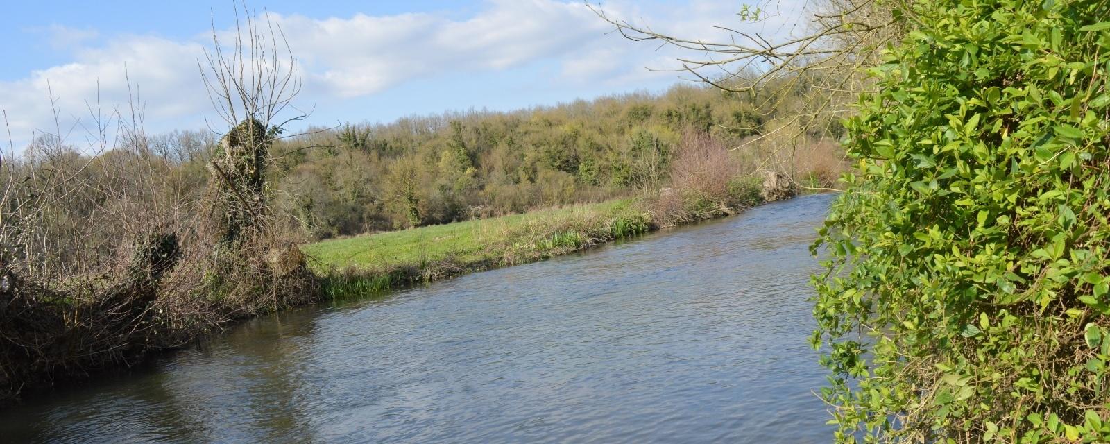 La rivière la Berlande à Paizay-le-Tort la rivière la berlande