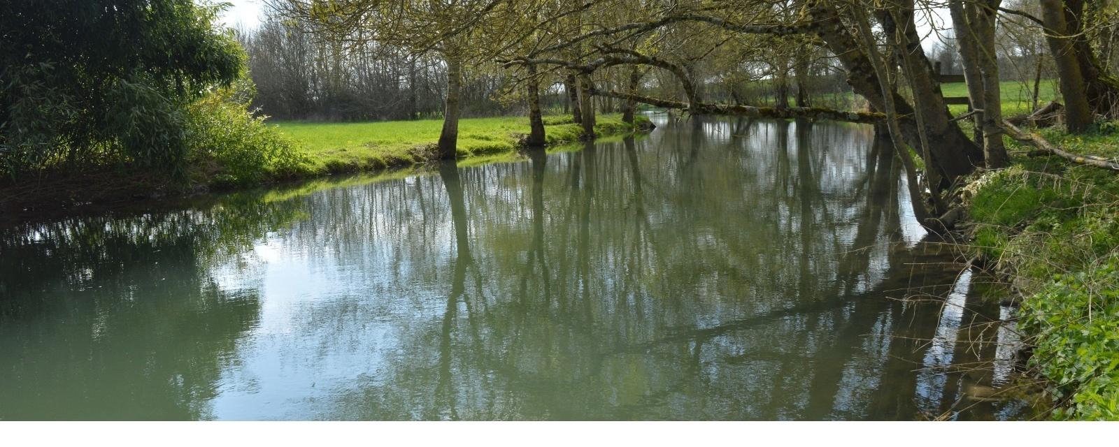 Rivière La Dive à Bonneuil de Sainte-Soline rivière la dive à bonneuil