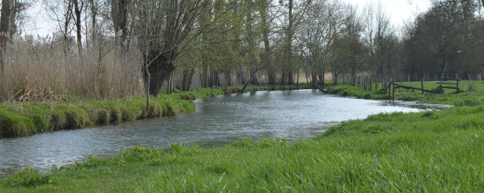 Rivière la Dive à Règné Lezay rivière la dive à règné