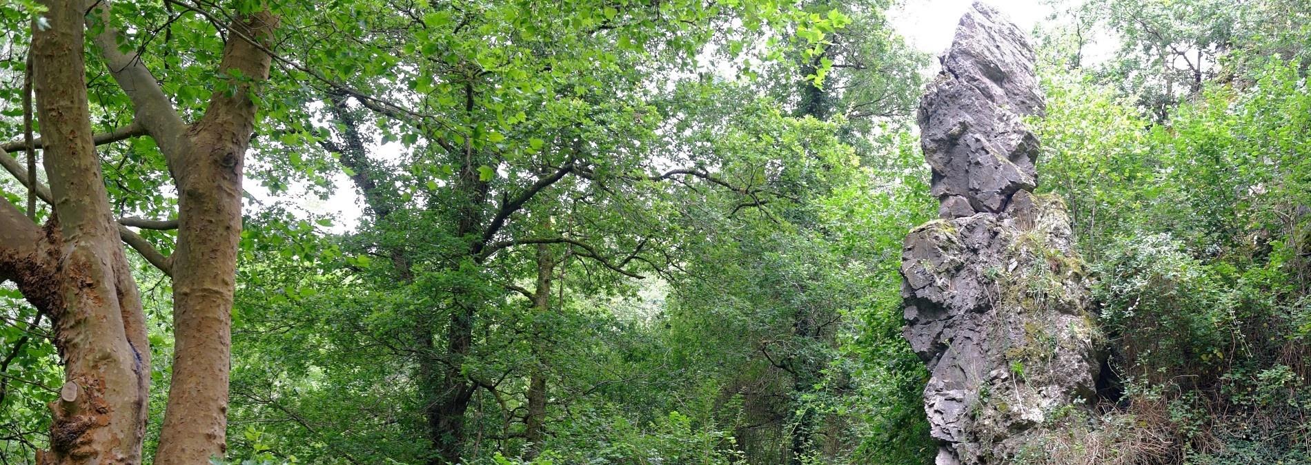 Randonnée la Vallée de Chambrille