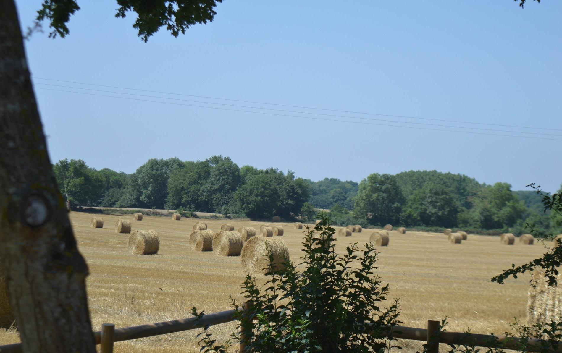 bottes-de-paille