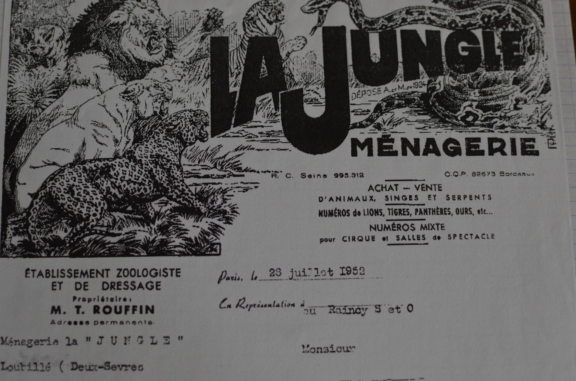 La Jungle de Marffa-la-Corse la jungle