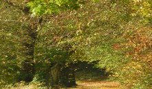 Arboretum forestier des Deux-Sèvres