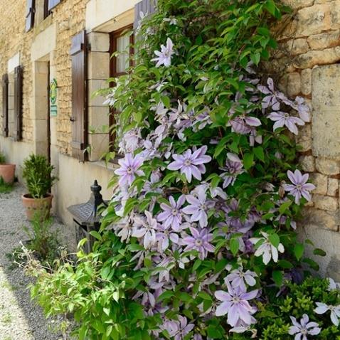 chambres ferme du puy d'anché