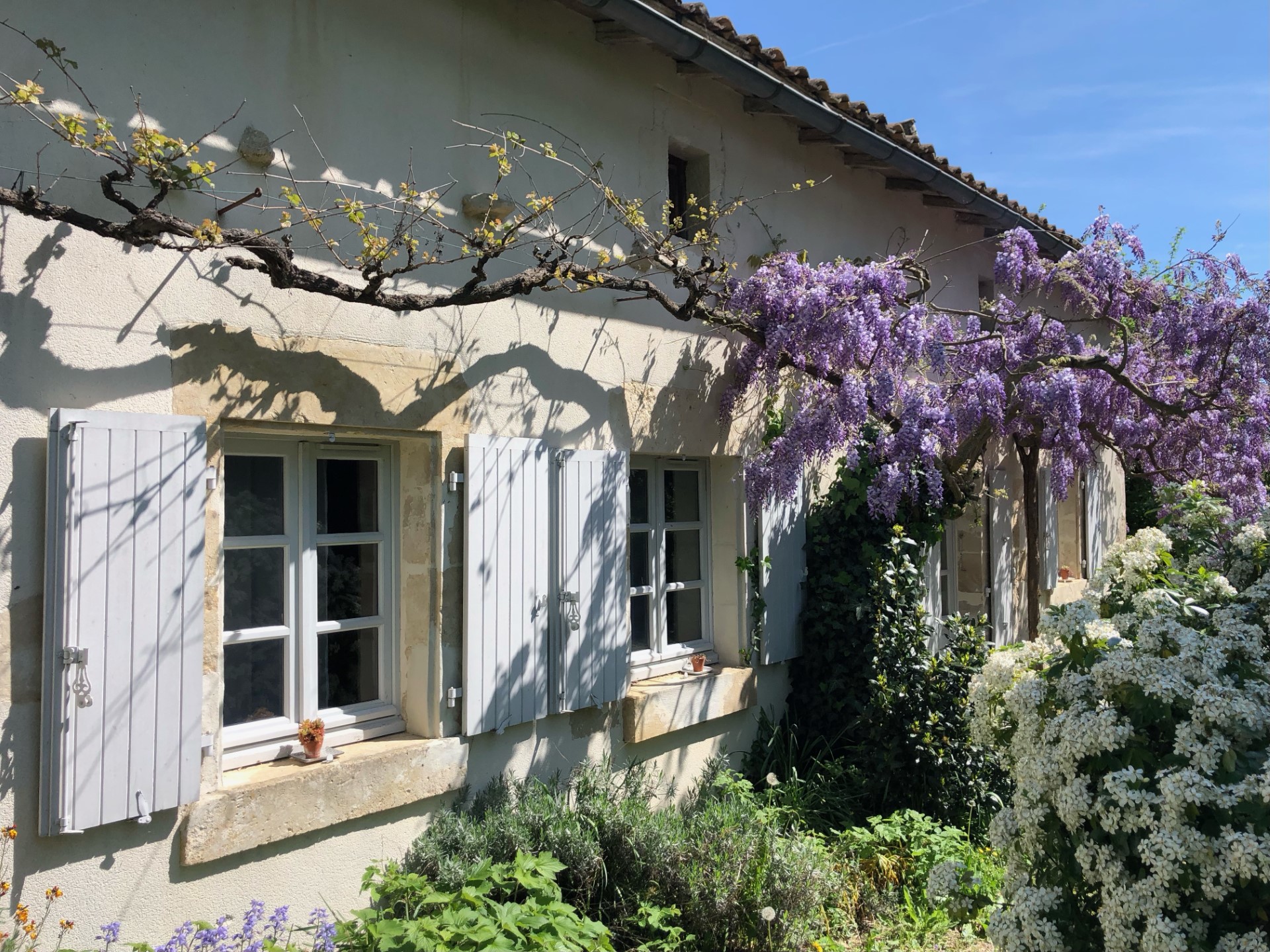 petite facade
