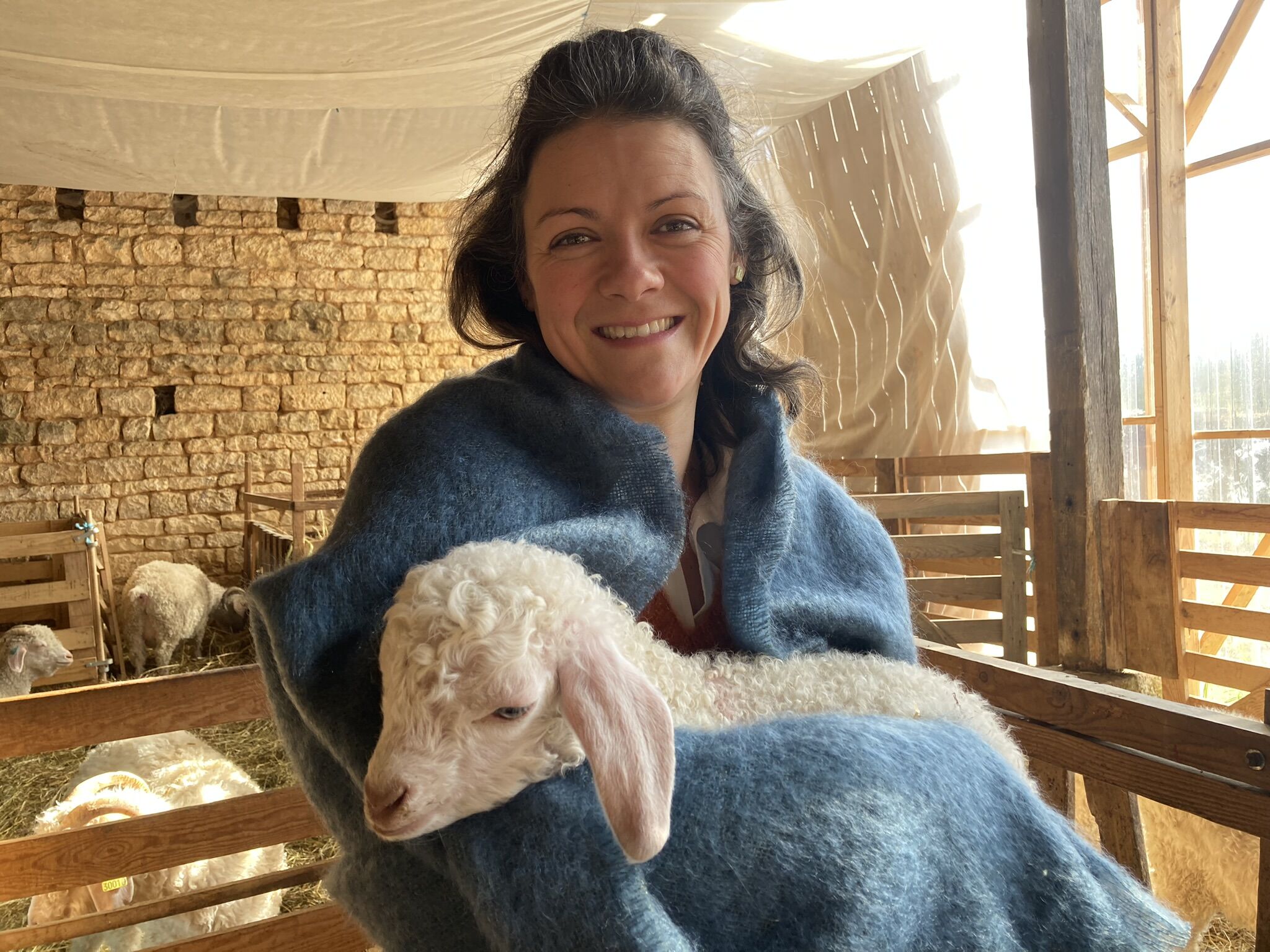 mohair du mellois